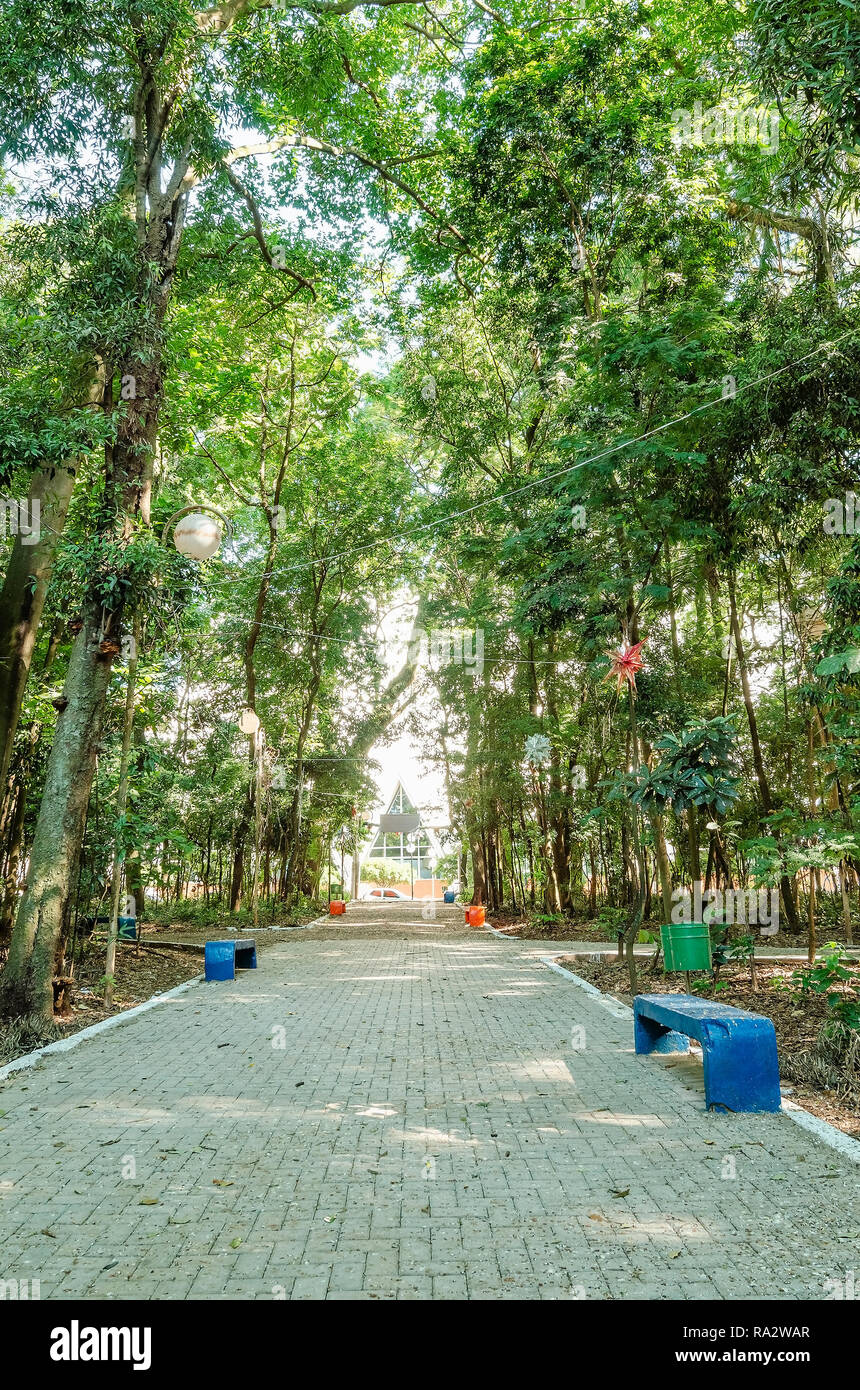 Square Surrounded By Tall Trees Some Benches To Seat On Downtown
