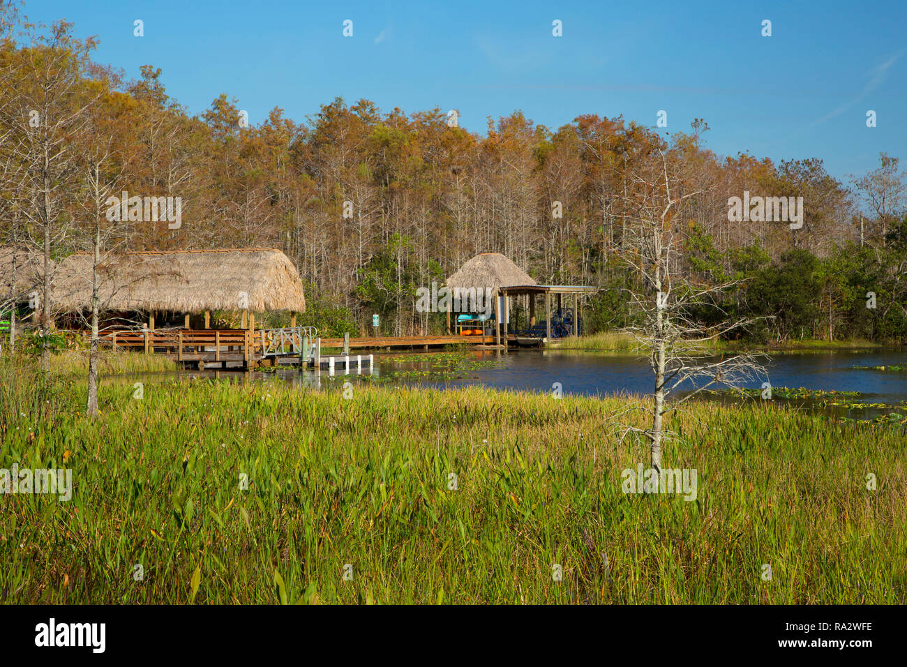 Canoe launch, Grassy Waters Preserve, West Palm Beach, Florida Stock
