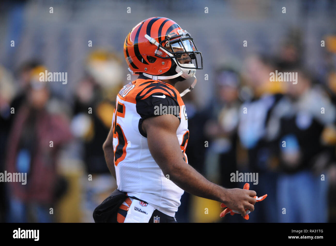 September 26th, 2021: Bengals helmets during the Pittsburgh Steelers vs  Cincinnati Bengals game at Heinz Field in Pittsburgh, PA. Jason  Pohuski/(Photo by Jason Pohuski/CSM/Sipa USA Stock Photo - Alamy