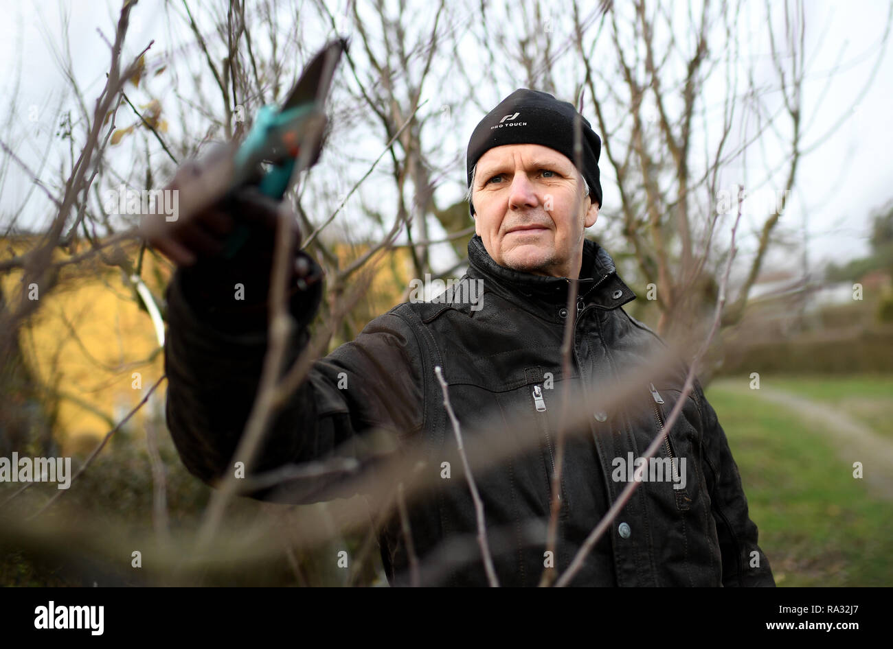 Berlin, Germany. 20th Dec, 2018. Burkhard Träder, chairman of the allotment garden 'Am Kienberg' decides on an apple tree. Due to the housing shortage in large cities, allotment garden complexes are repeatedly being targeted by investors who want to build housing there. According to experts, allotment gardeners will have to become more flexible in the future if they are to maintain their facilities in conurbations in the long term. Credit: Britta Pedersen/dpa-Zentralbild/ZB/dpa/Alamy Live News Stock Photo