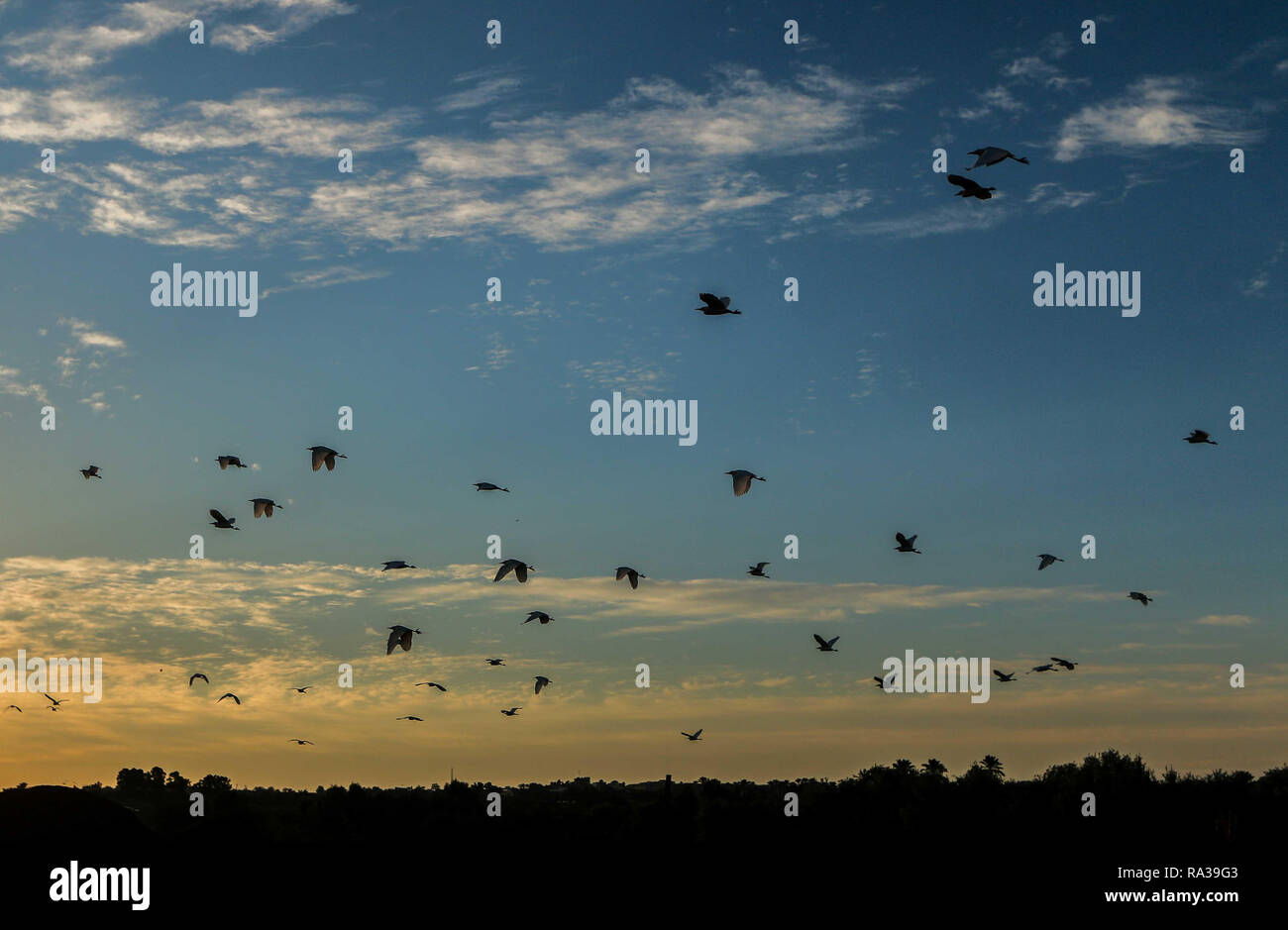January 1, 2019 - Dair Al Balah, Gaza Strip, Palestinian Territory - The sunrise is seen over Dair Al Balah in the central Gaza Strip on New Year's Day on January 1, 2019  (Credit Image: © Mahmoud Khattab/APA Images via ZUMA Wire) Stock Photo