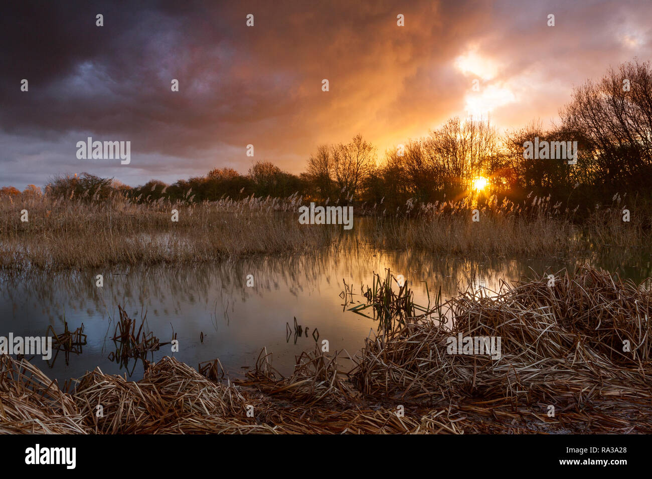Barton-upon-Humber, North Lincolnshire. 1st Jan 2019. UK Weather: A dramatic sunrise at a Lincolnshire Wildlife Trust Nature Reserve on New Year's Day. Barton-upon-Humber, North Lincolnshire, UK. 1st January 2019. Credit: LEE BEEL/Alamy Live News Stock Photo