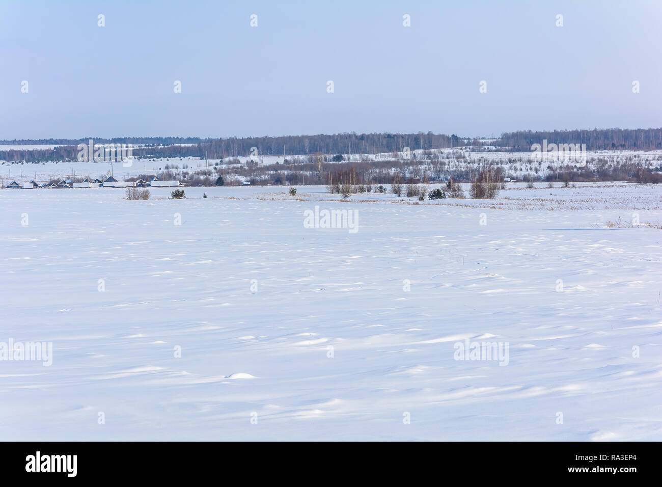 Snow-covered village near the field and forest in winter Stock Photo