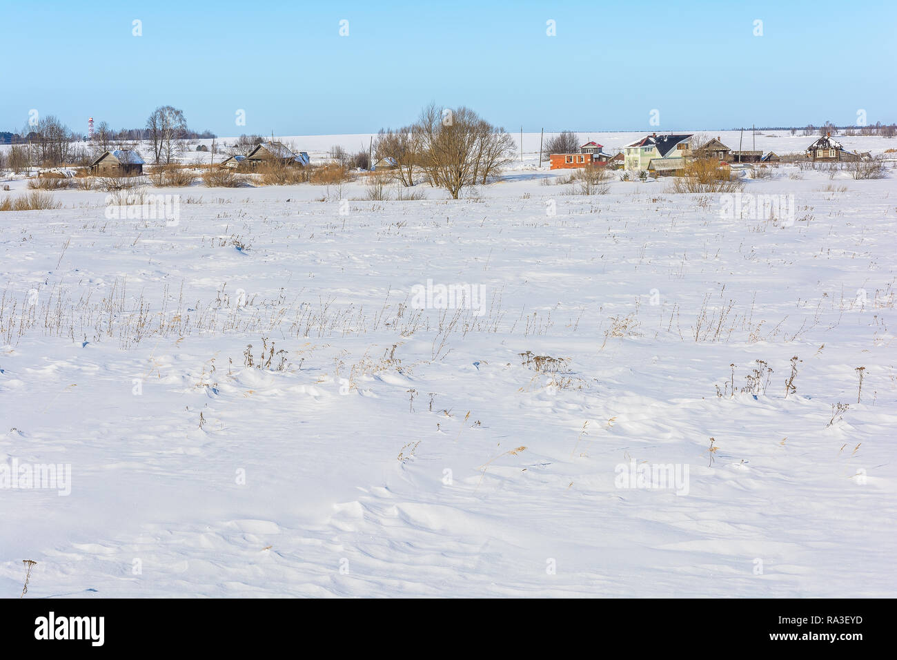 Snow-covered village near the field in winter Stock Photo