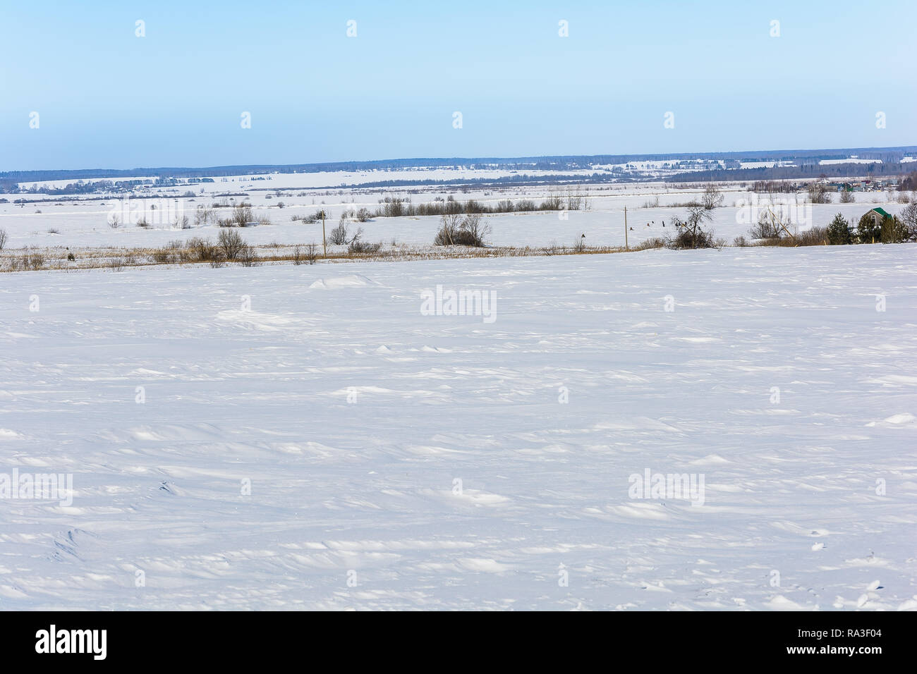 Snow-covered field in winter Stock Photo
