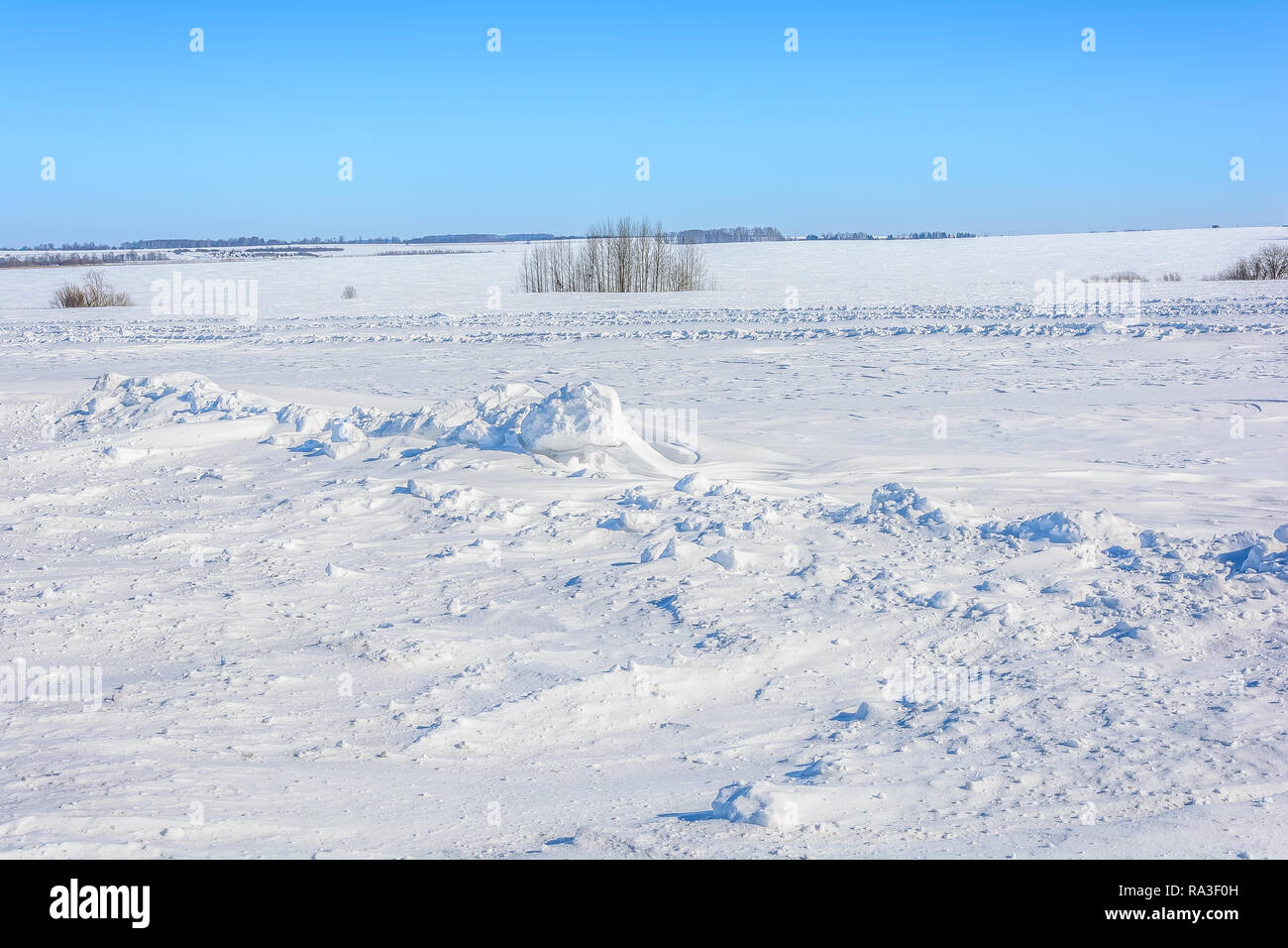 A lonely tree in a snowy field in winter Stock Photo