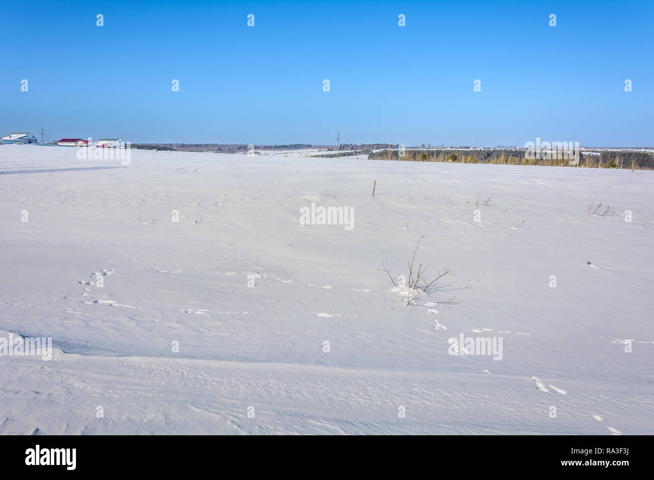 Snow covered field tree tracks hi-res stock photography and images - Alamy