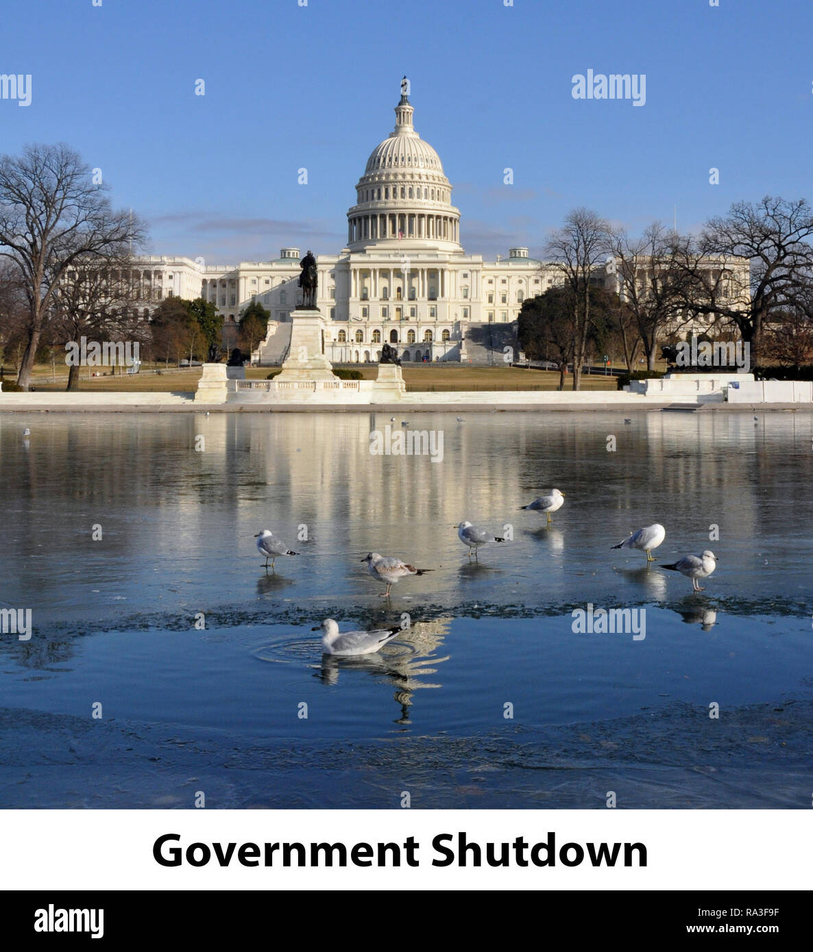 Frozen Government Shutdown, Political Satire showing the US Capitol with Frozen Reflecting Pool and Seagulls, Washington DC, Winter January 15, 2018 Stock Photo