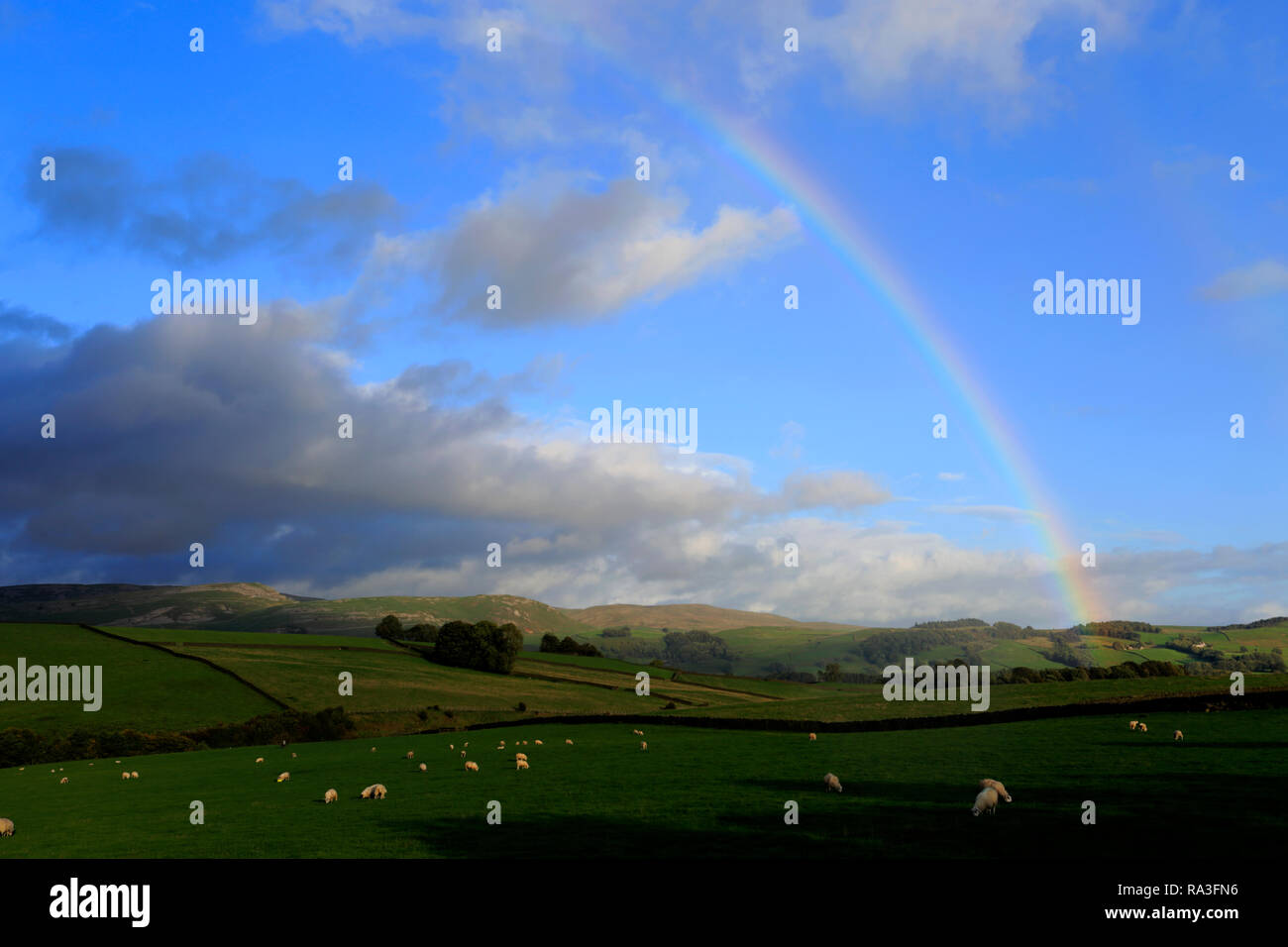 Rainbow near Settle town, Yorkshire Dales National Park; England; UK Stock Photo