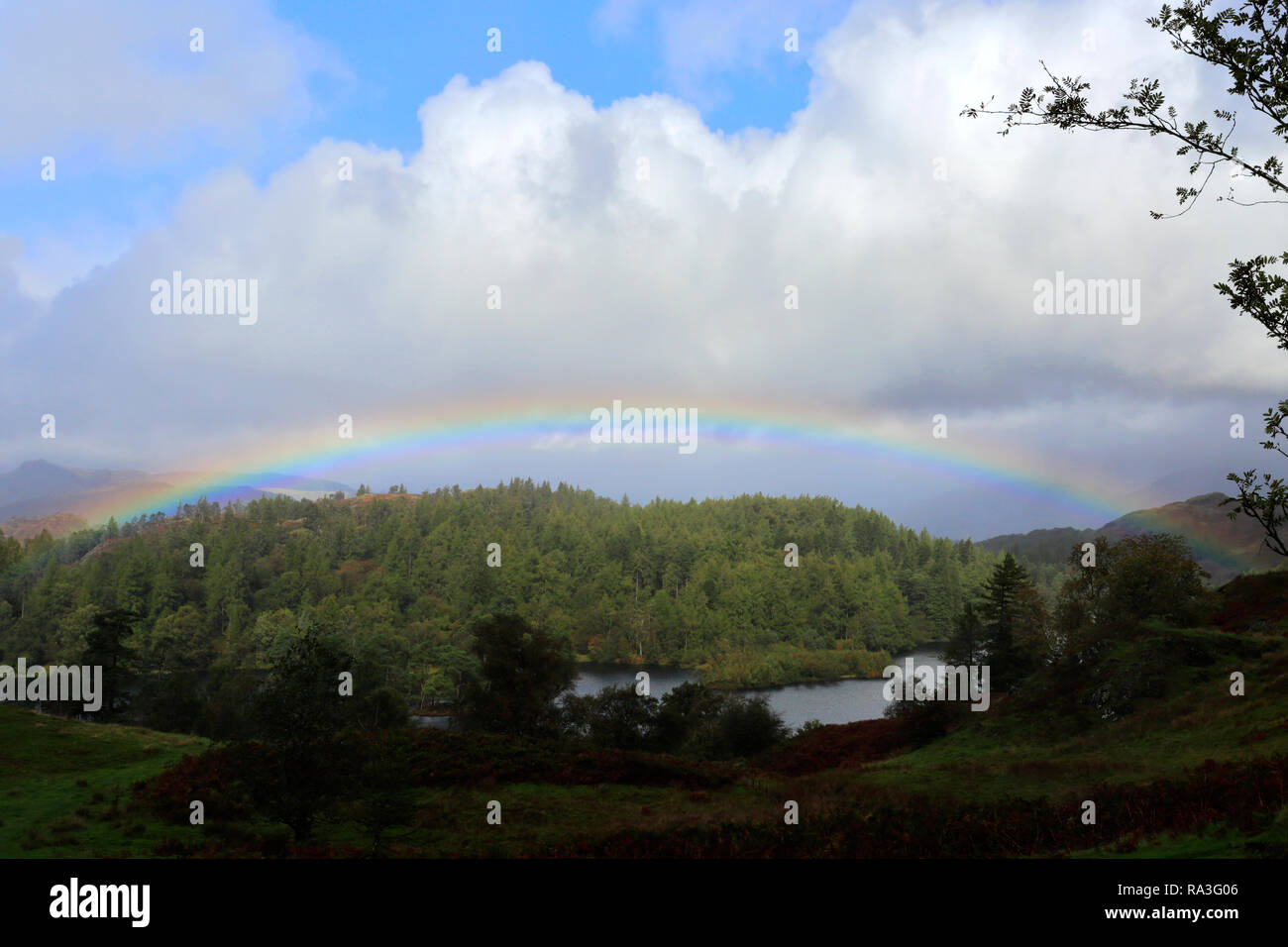 Autumn rainbow over Tarn Hows, Lake District National Park, Cumbria, England, UK Stock Photo