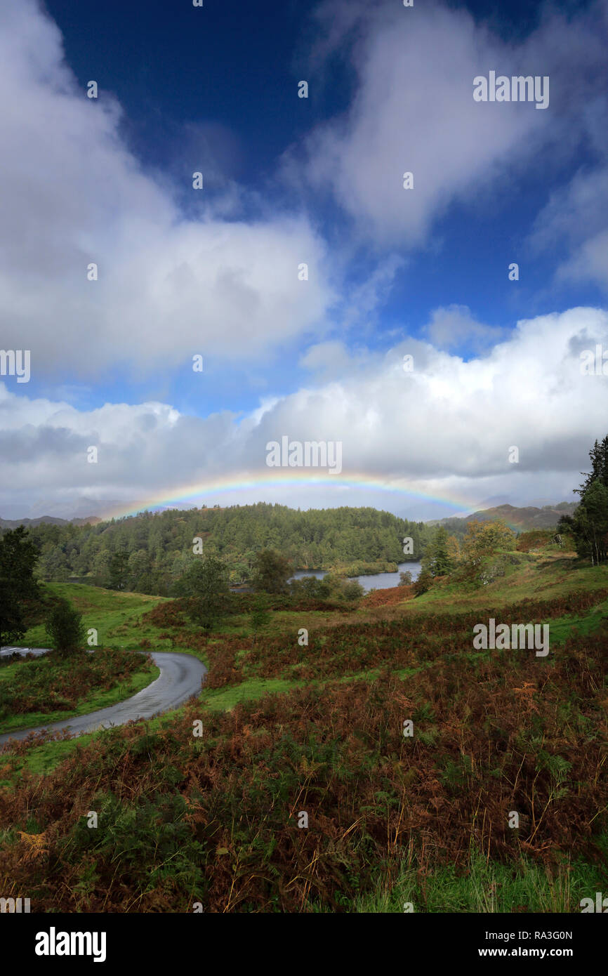 Autumn rainbow over Tarn Hows, Lake District National Park, Cumbria, England, UK Stock Photo
