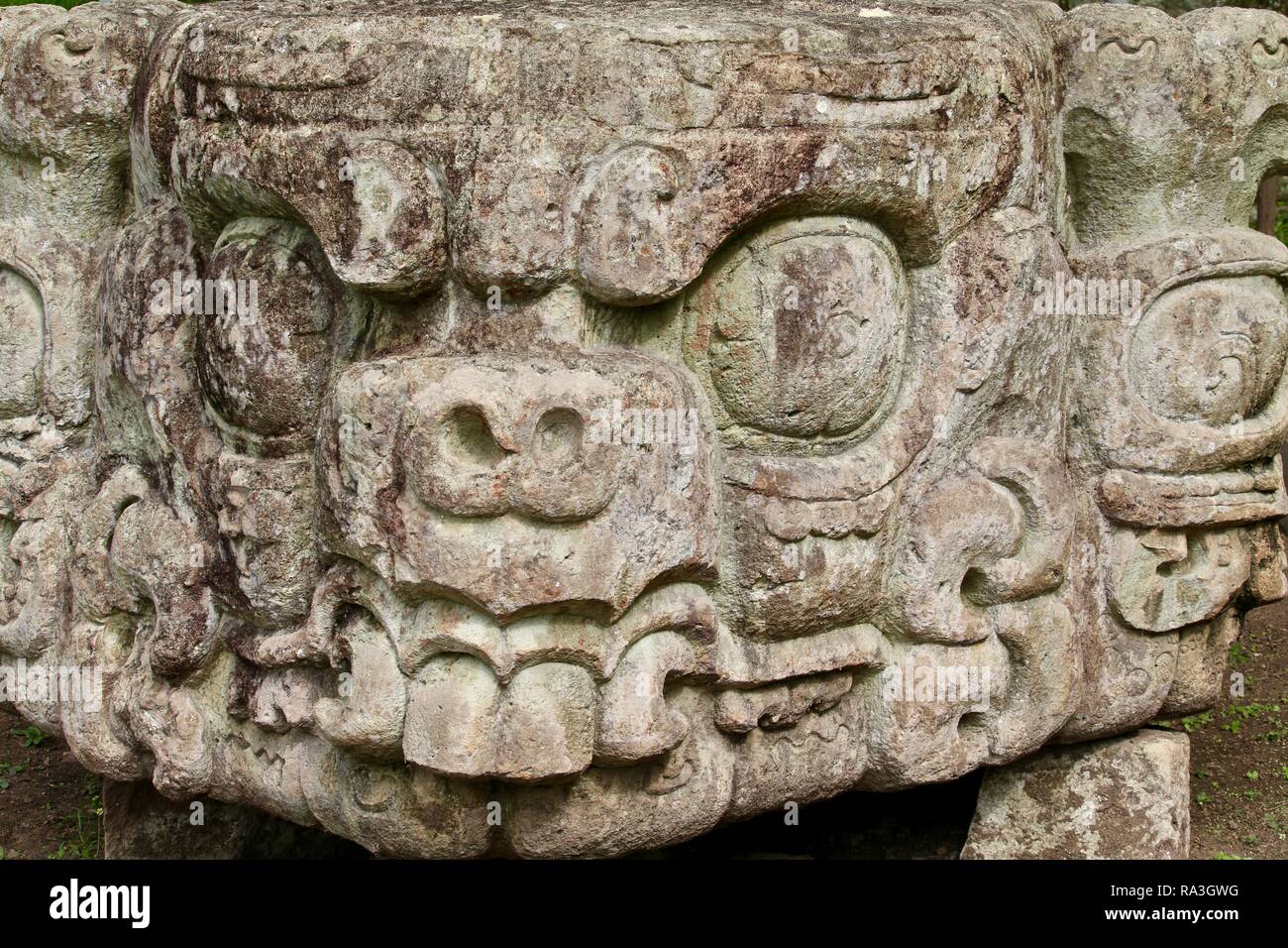 Carved stone faces on Mayan ruins in Honduras Stock Photo Alamy