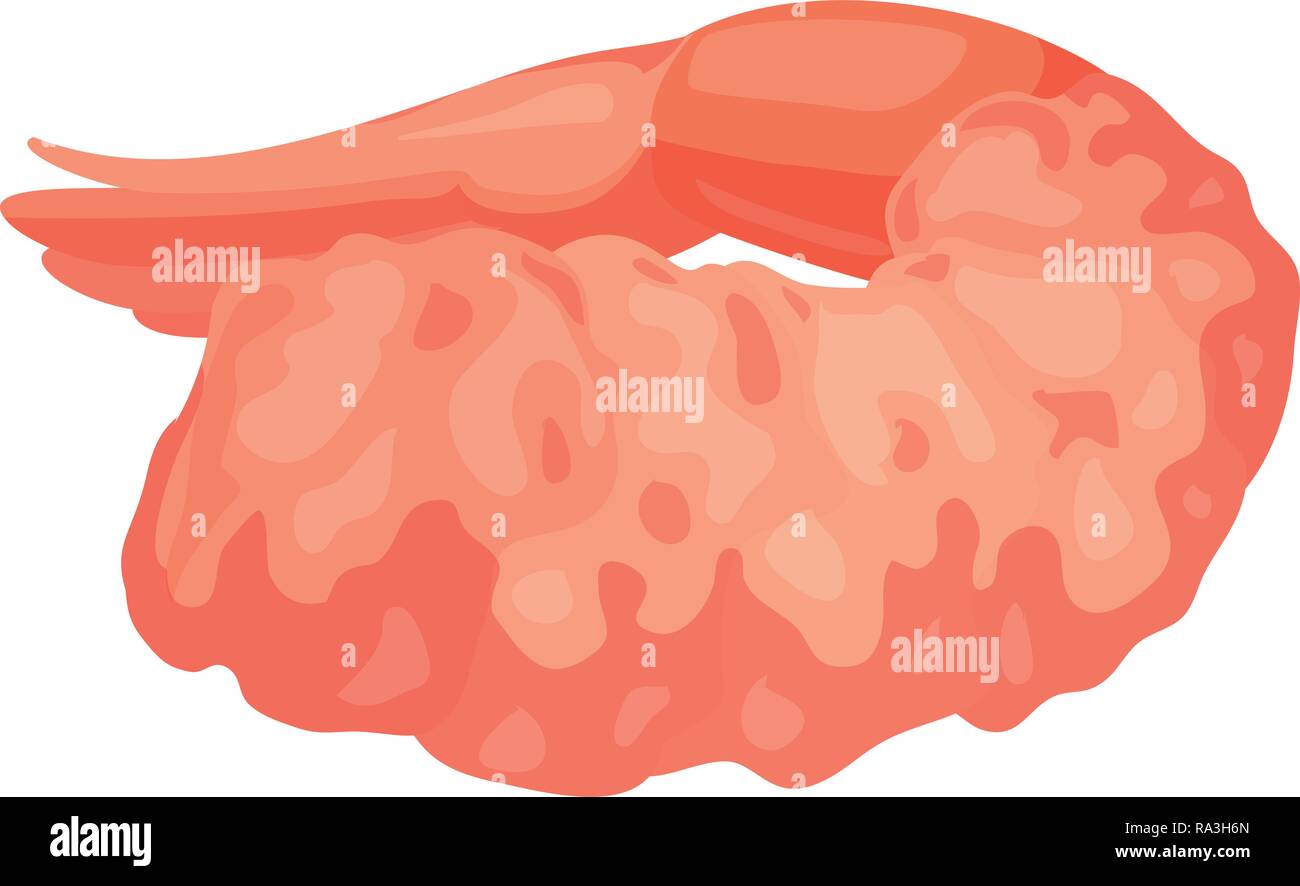 Restaurant shrimp icon. Cartoon of restaurant shrimp vector icon for web design isolated on white background Stock Vector