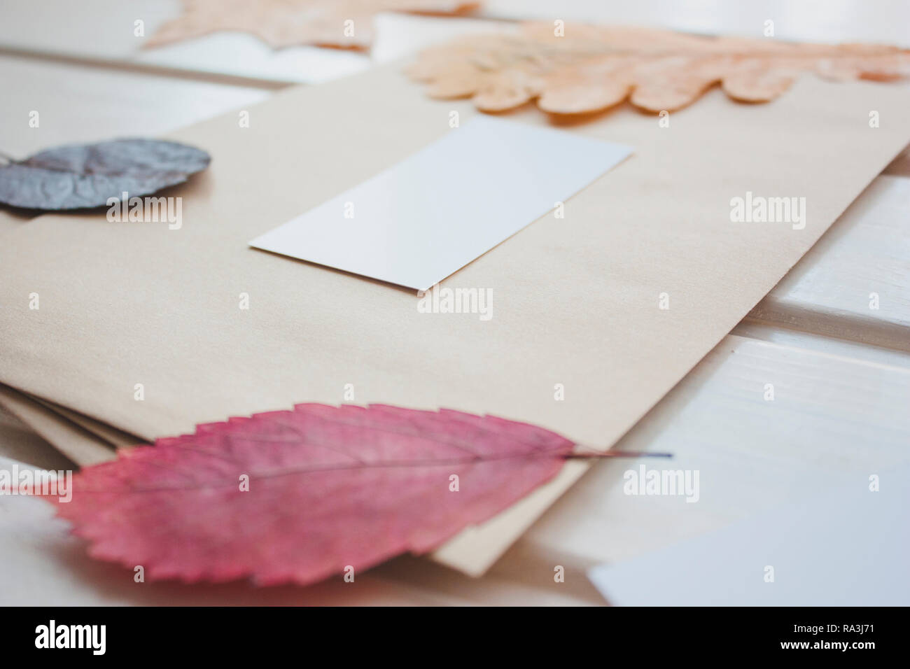 Postal envelope in retro style. Around the envelope are autumn leaves Stock Photo