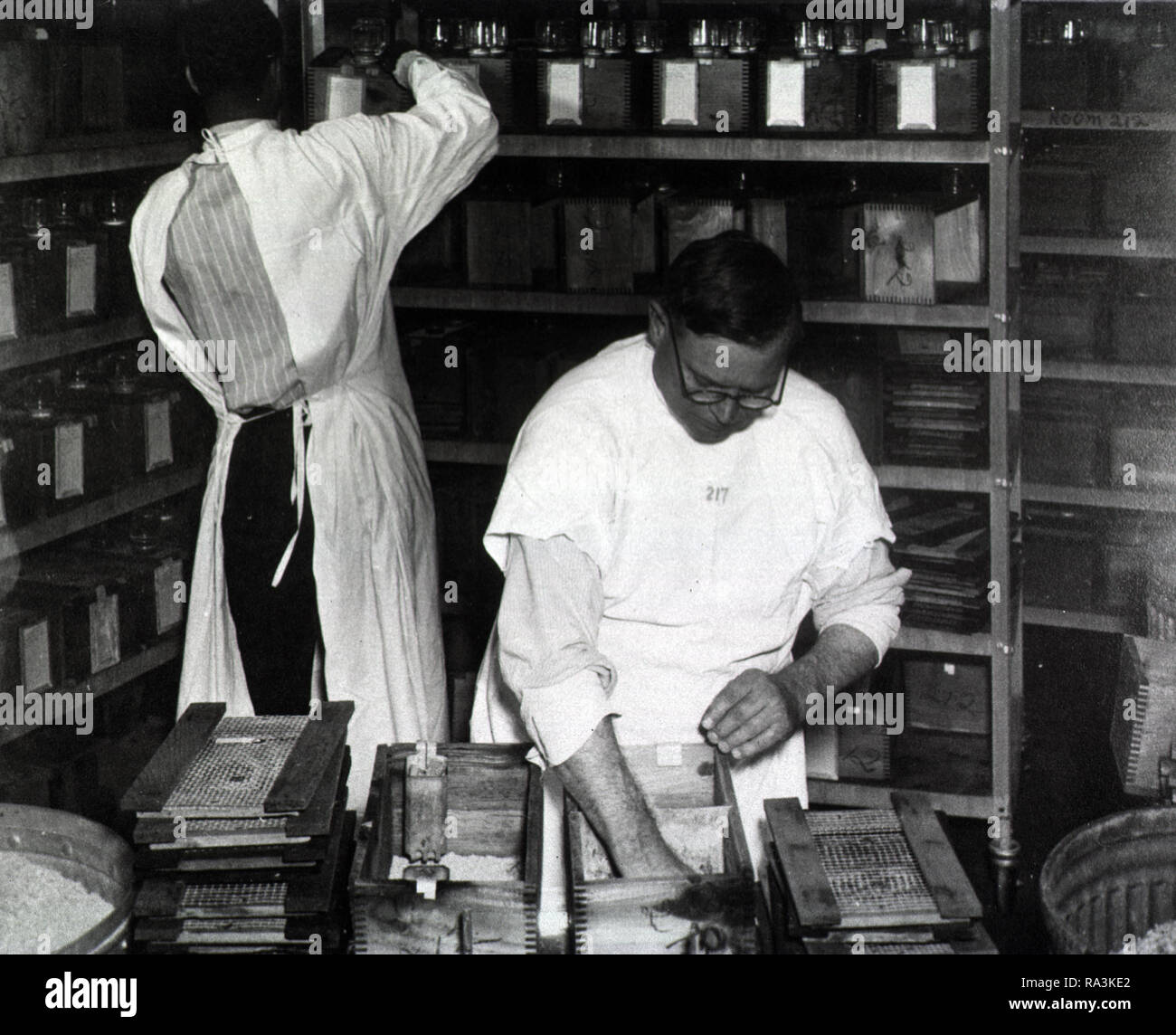 Cleaning cages used for animals used in medical testing Stock Photo Alamy