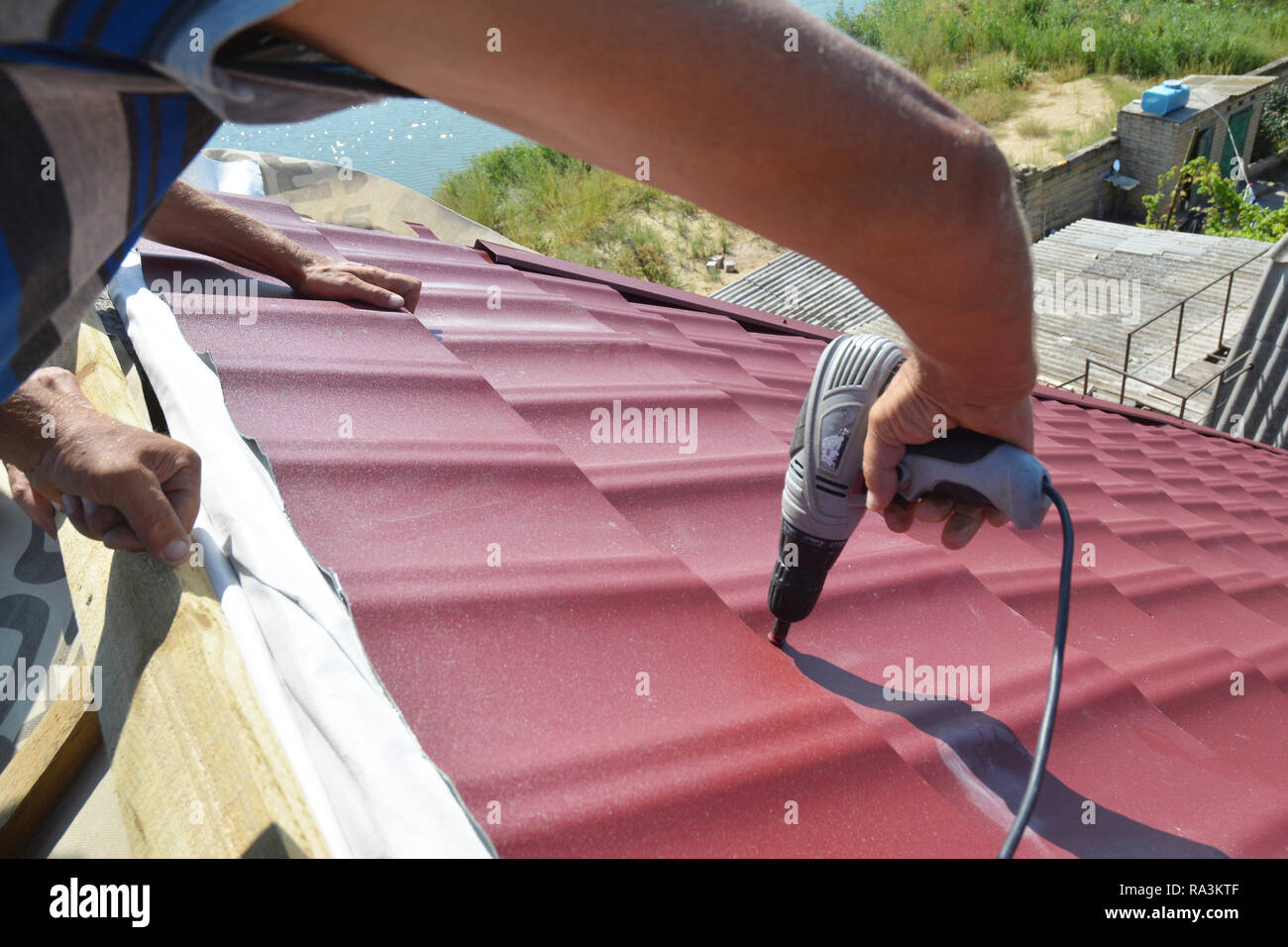 Roofing contractors installing metal roof tile for roof repair. Roofing