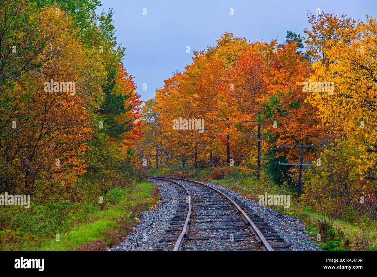 Railway tracks with colorful trees in autumn, Quebec, Canada Stock Photo