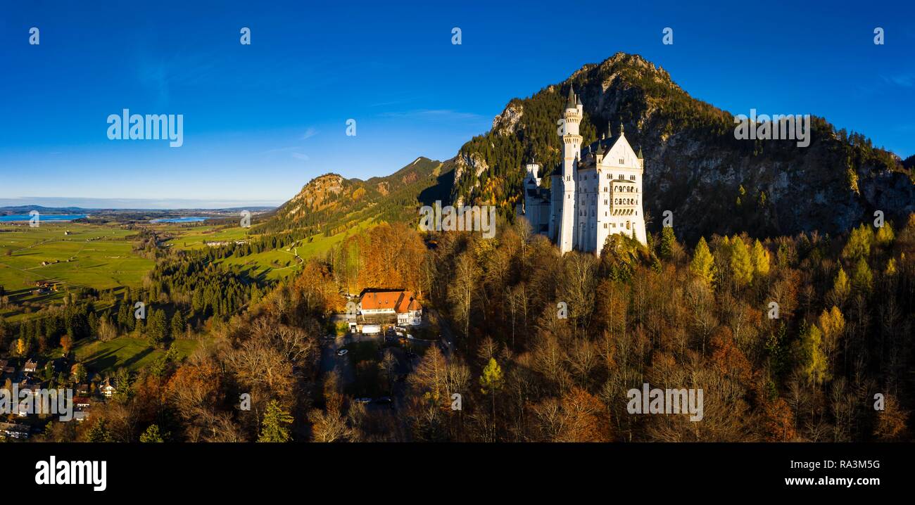 Drone shot, Neuschwanstein Castle in autumn, Forggensee in the back, Schwangau, Ostallgäu, Allgäu, Swabia, Upper Bavaria Stock Photo