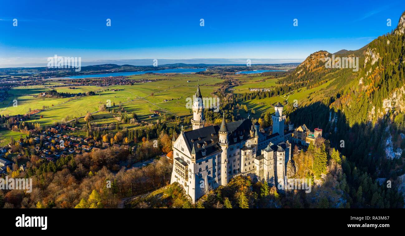 Drone shot, Neuschwanstein Castle in autumn, Forggensee, Schwangau, Ostallgäu, Allgäu, Swabia, Oberbayern, Germany, behind Stock Photo