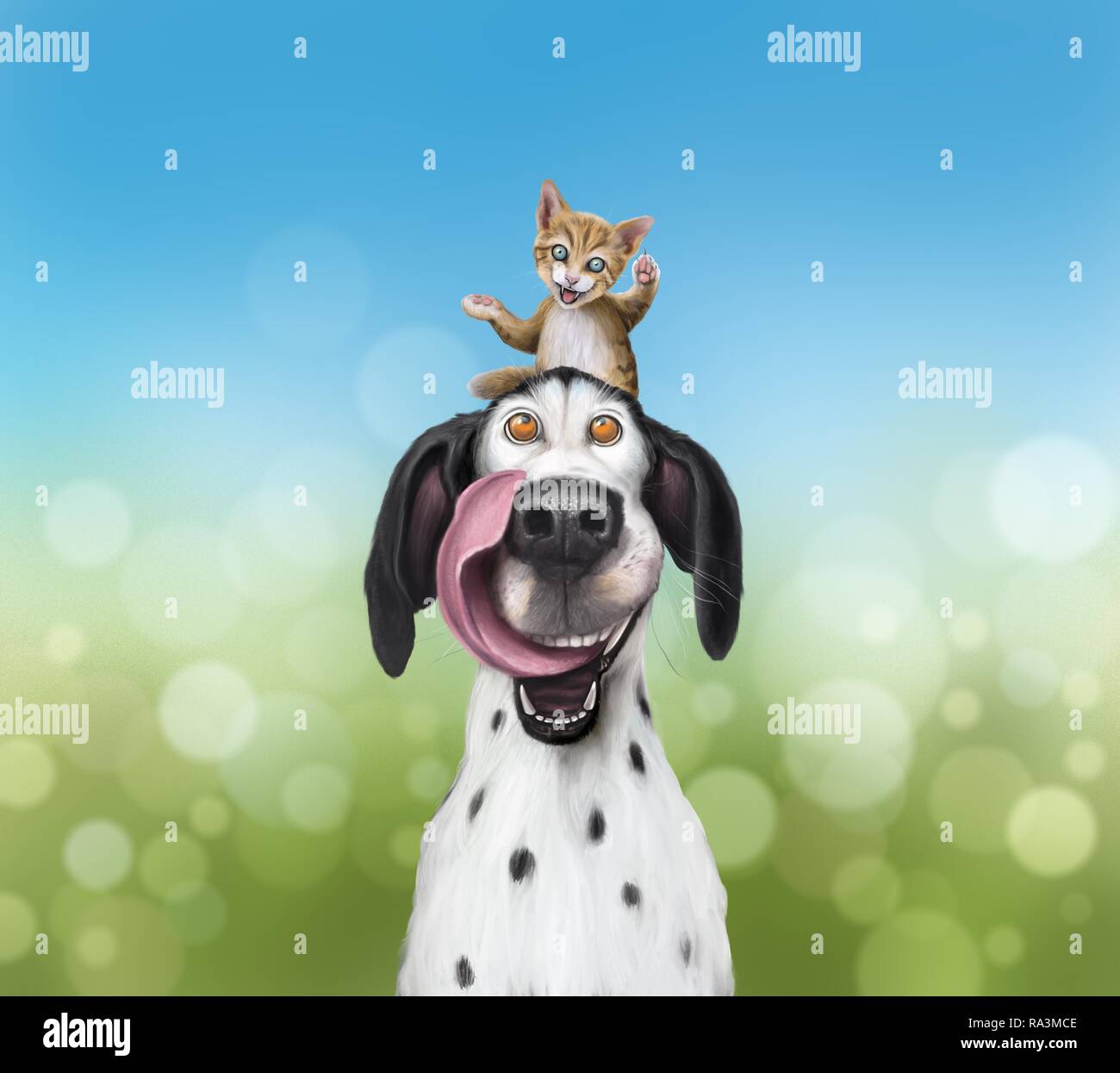 Black and white dog licking his mouth, kitten sitting on his head, greedy look, Germany Stock Photo