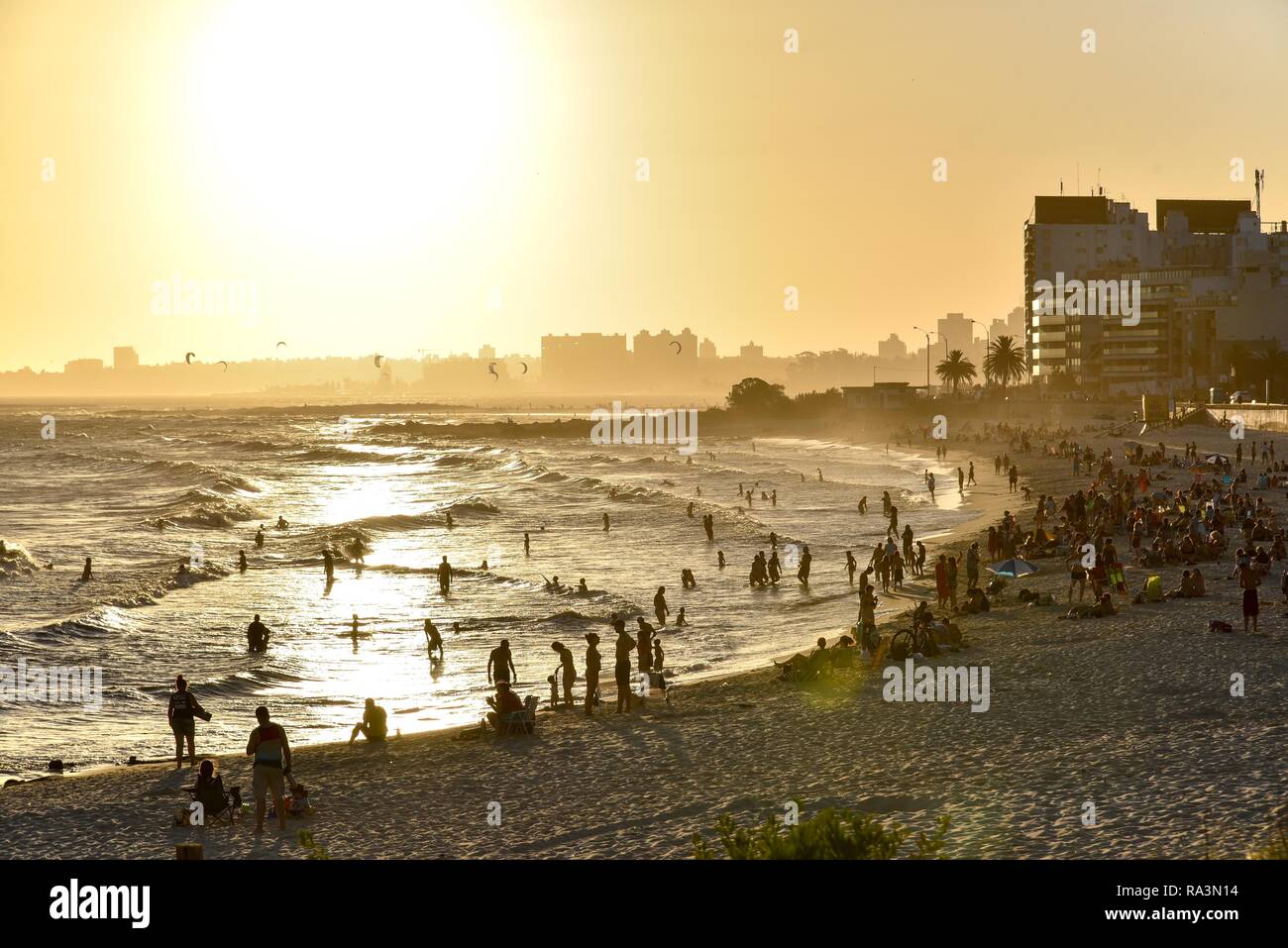 Many people bathing on the beach at sunset, beach Rambla, Montevideo, Uruguay Stock Photo