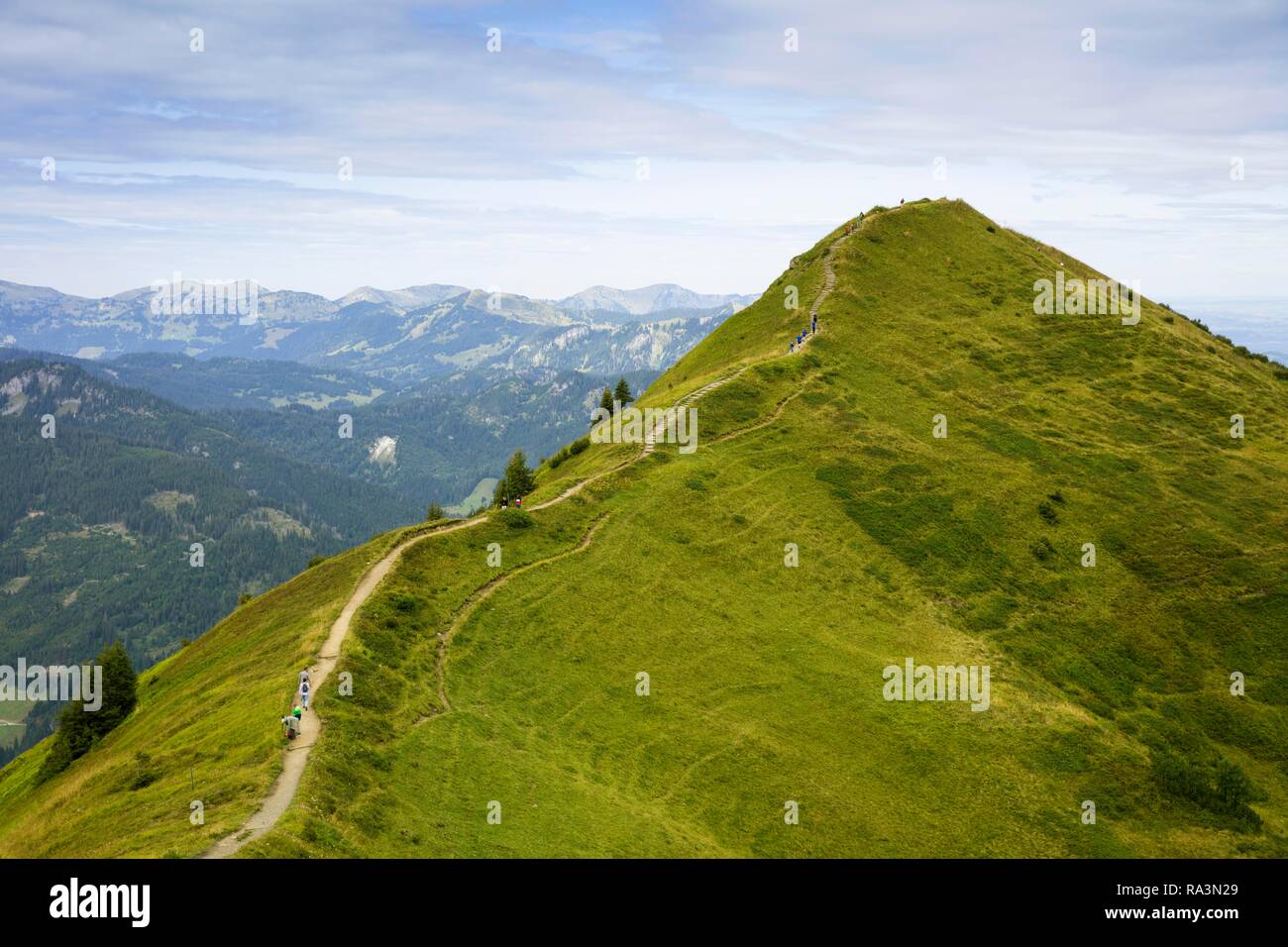 Hiking trail to the summit, Grundkopf 1949m, view from the mountain station Kanzelwand, Allgäuer Alps, Kleinwalsertal Stock Photo