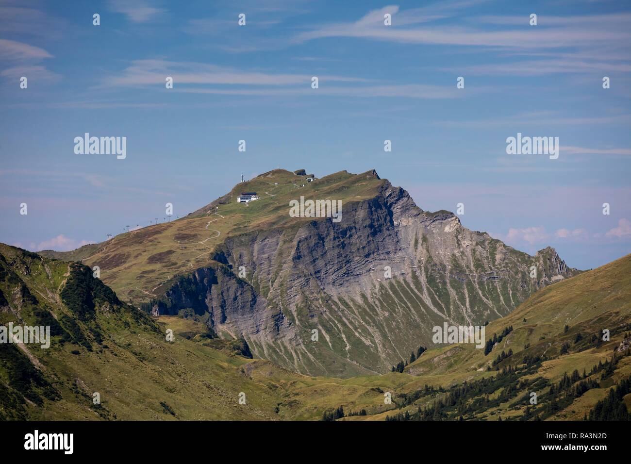 Diedamskopf 2090m, Kleinwalsertal, Allgäu Alps, Vorarlberg, Austria Stock Photo