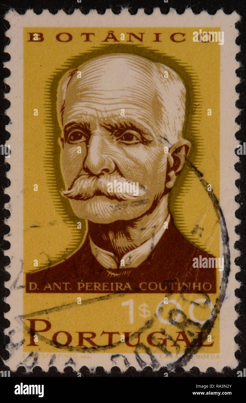 António Xavier Pereira Coutinho, Portuguese botanist and agronomist, portrait on Portuguese stamp, Portugal Stock Photo