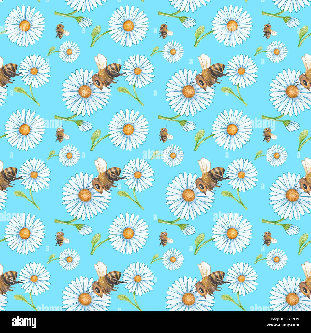 Wrapping paper, wallpaper, background light blue, seamless pattern, meadow,  daisies and bumblebees or bees, Germany Stock Photo - Alamy