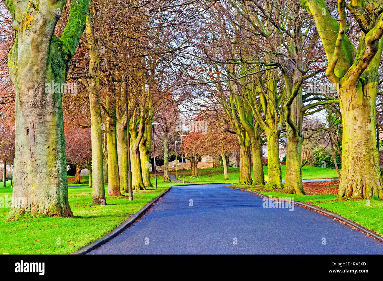 Thornaby On Tees High Resolution Stock Photography and Images Alamy