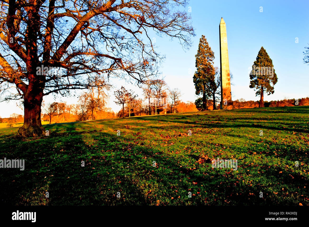 Wynyard Hall Grounds, Wynyard Hall and Wellington Monuement,, Stockton
