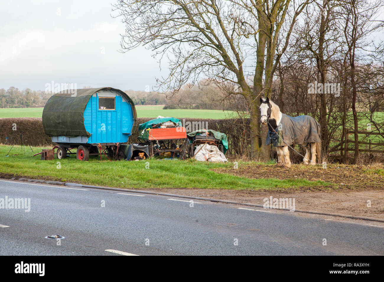 Travelers living in a traditional type horse drawn Romany gypsy caravan  stopped on the grass verge at the side of the road for their horses to graze Stock Photo