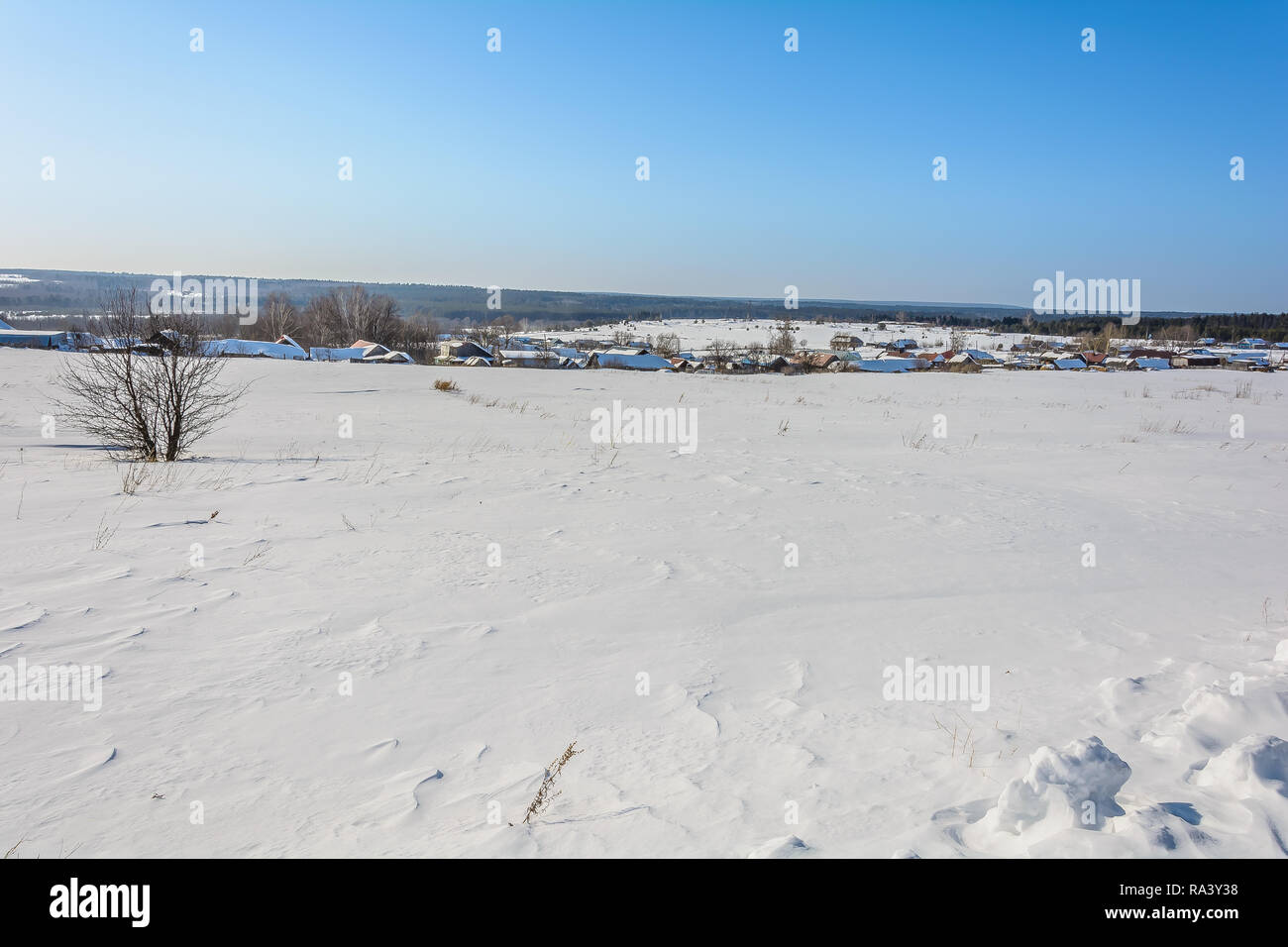 Snow-covered village near the field in winter Stock Photo