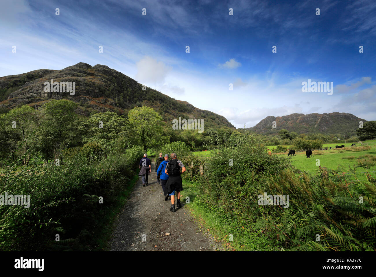 Walkers in the Yewdale Fells, Coniston town, Lake District National Park, Cumbria, England, UK Stock Photo
