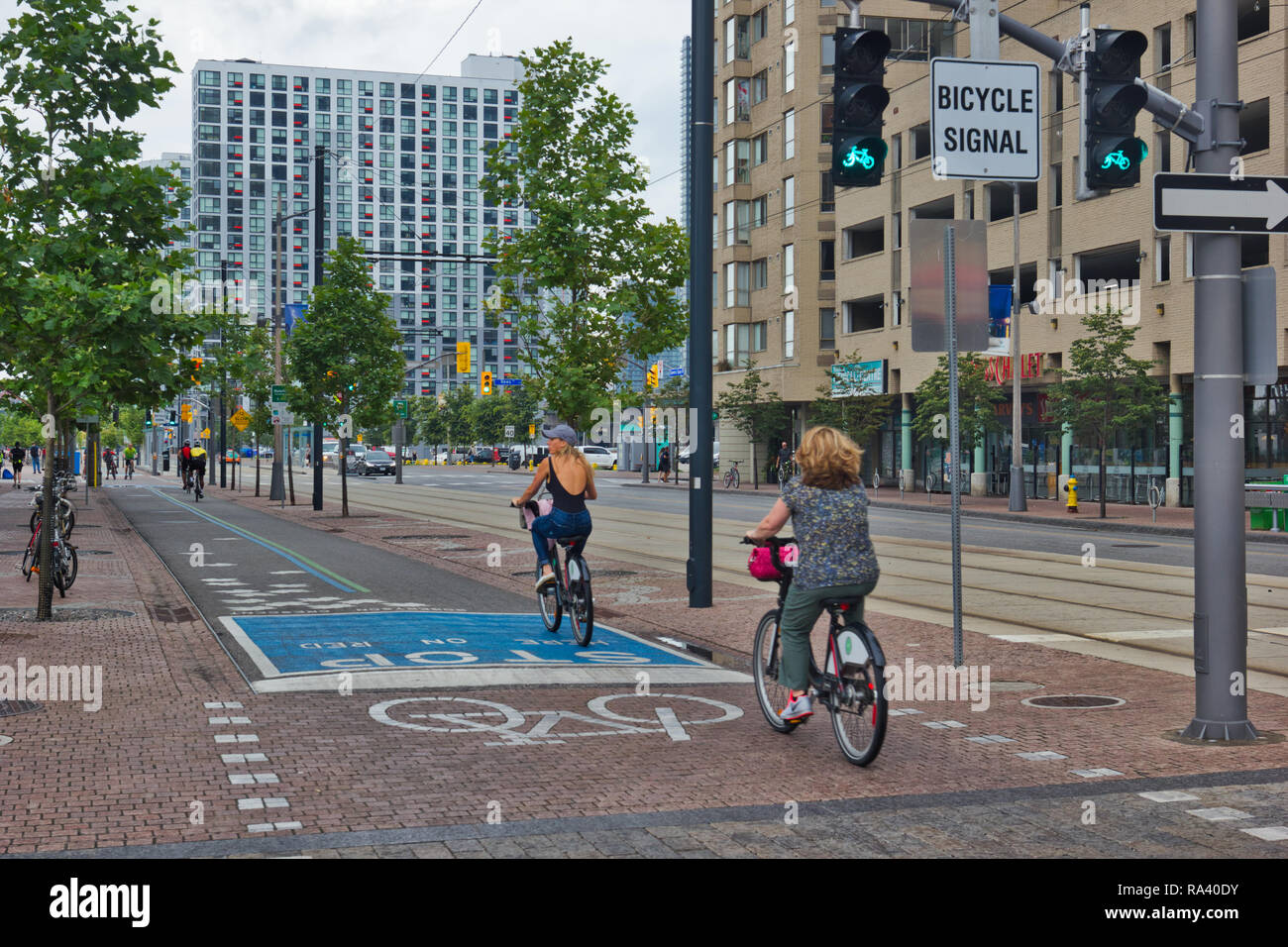 Queens Quay bike trail and bicycle specific traffic signals, Queens Quay West, Toronto, Ontario, Canada Stock Photo
