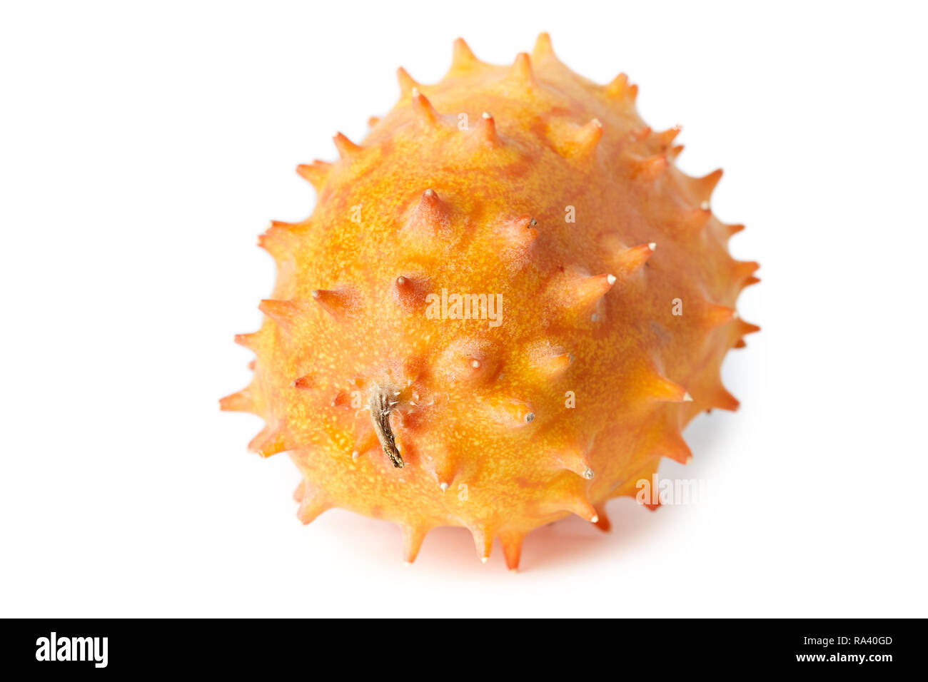 Horned melon or kiwano (Cucumis metuliferus), also known as African