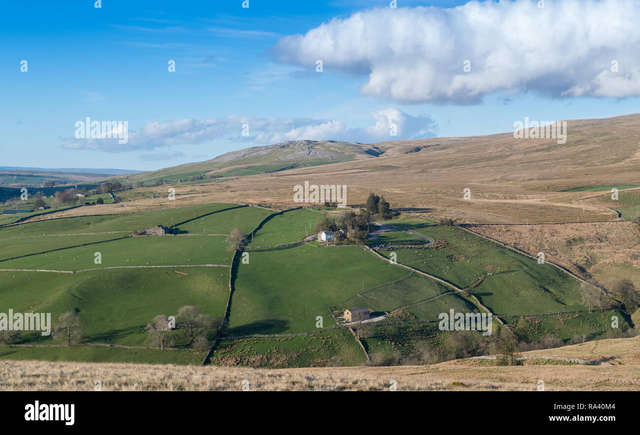 Hill farms on Wild Boar and Swarth Fells on the eastern edge of the Howgill fells, Fell End, near Ravenstonedale, Cumbria, UK. Stock Photo