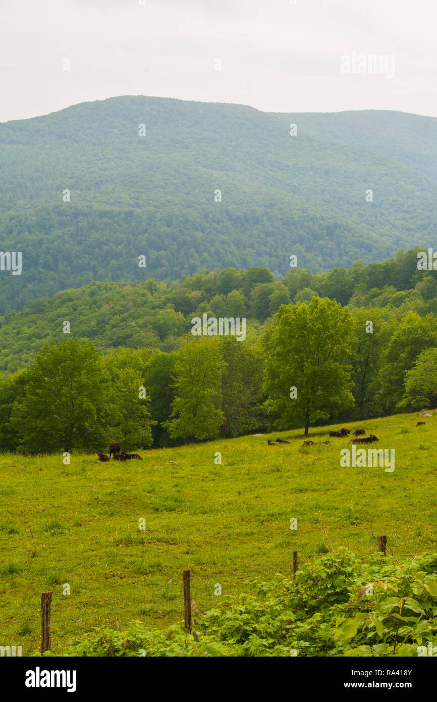 Hills and Valleys, West Virginia Stock Photo Alamy