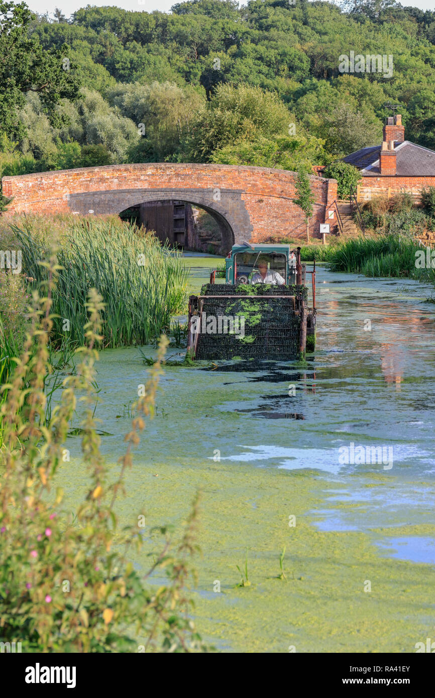 Canal and river trust dredger clearing the Grantham canal at woolsthorpe by Belvoir, Lincolnshire, England, UK Stock Photo