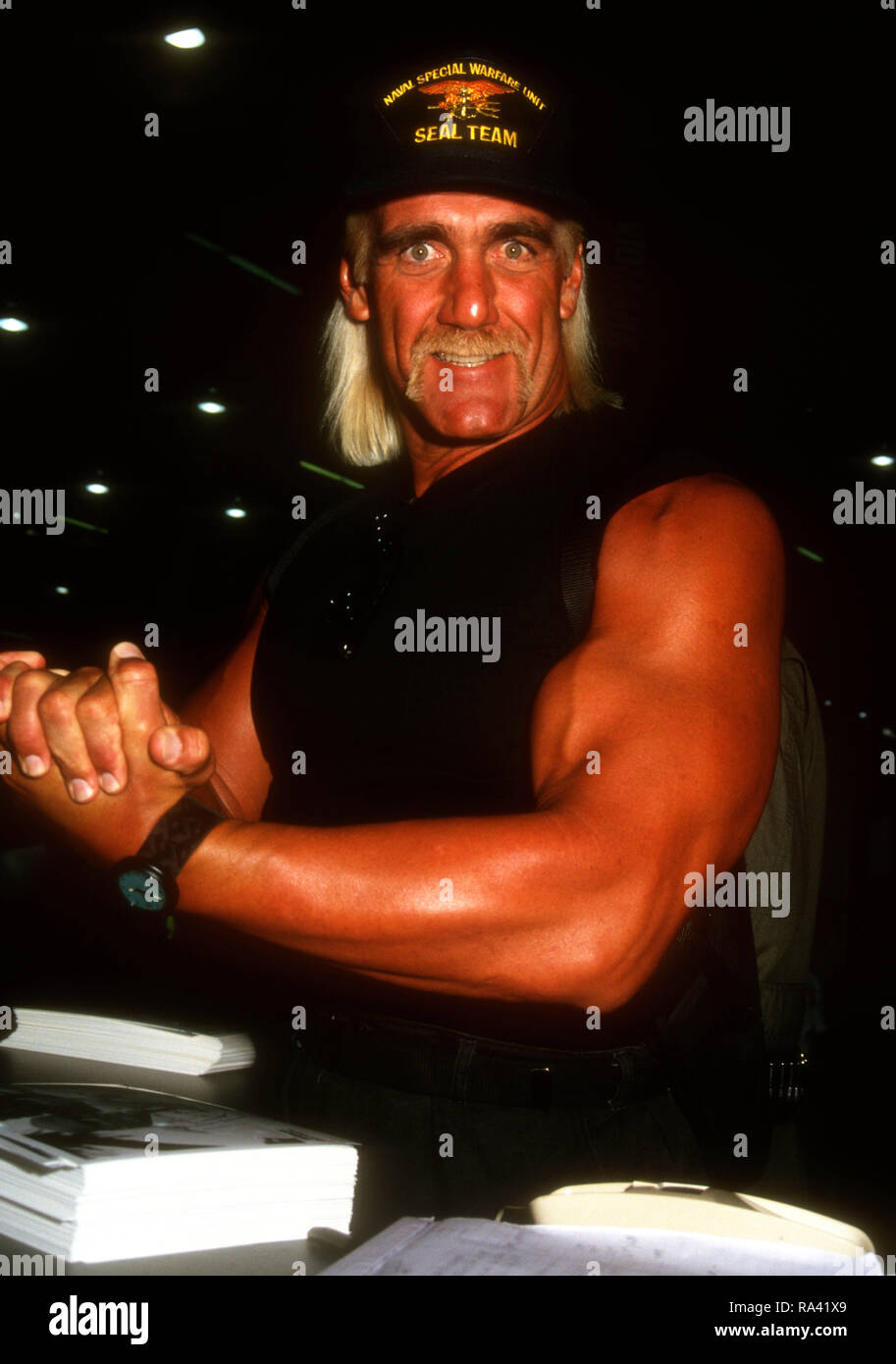 LAS VEGAS, NV - JULY 12: Wrestler Hulk Hogan, aka Terry Gene Bollea attends the 12th Annual Video Software Dealers Association (VSDA) Convention and Expo on July 12, 1993 at the Las Vegas Convention Center in Las Vegas, Nevada. Photo by Barry King/Alamy Stock Photo Stock Photo