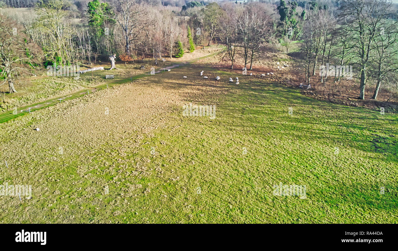 Aerial drone images of fields and forestry Stock Photo