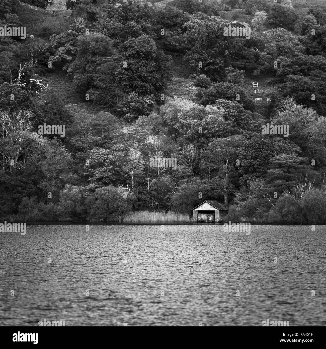 Looking across Rydal Water towards the old boathouse with the backdrop of trees on the hillside filling the frame Stock Photo