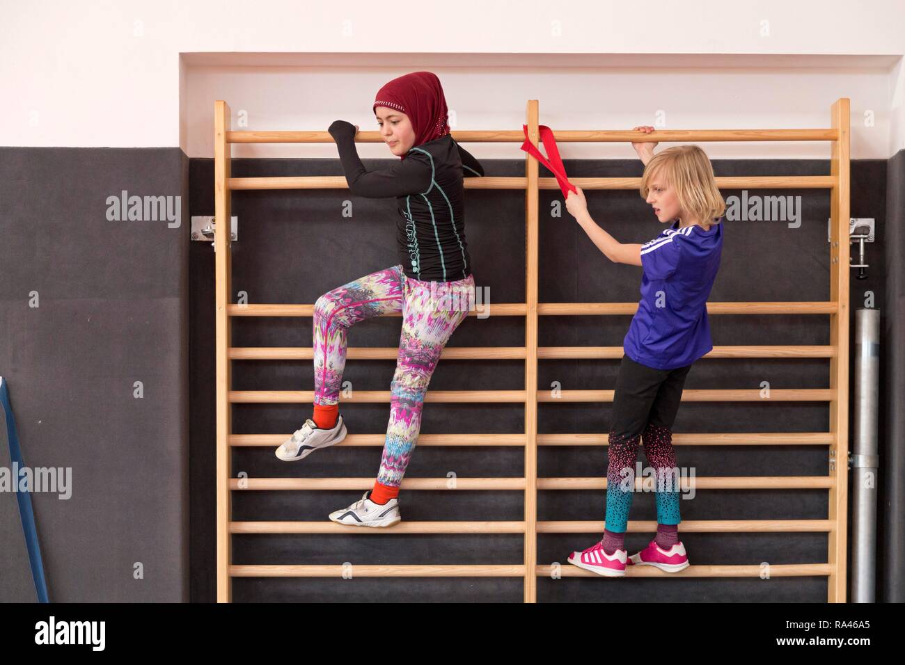 Students at the wall bars, Physical Education, Primary School, Lower Saxony, Germany Stock Photo