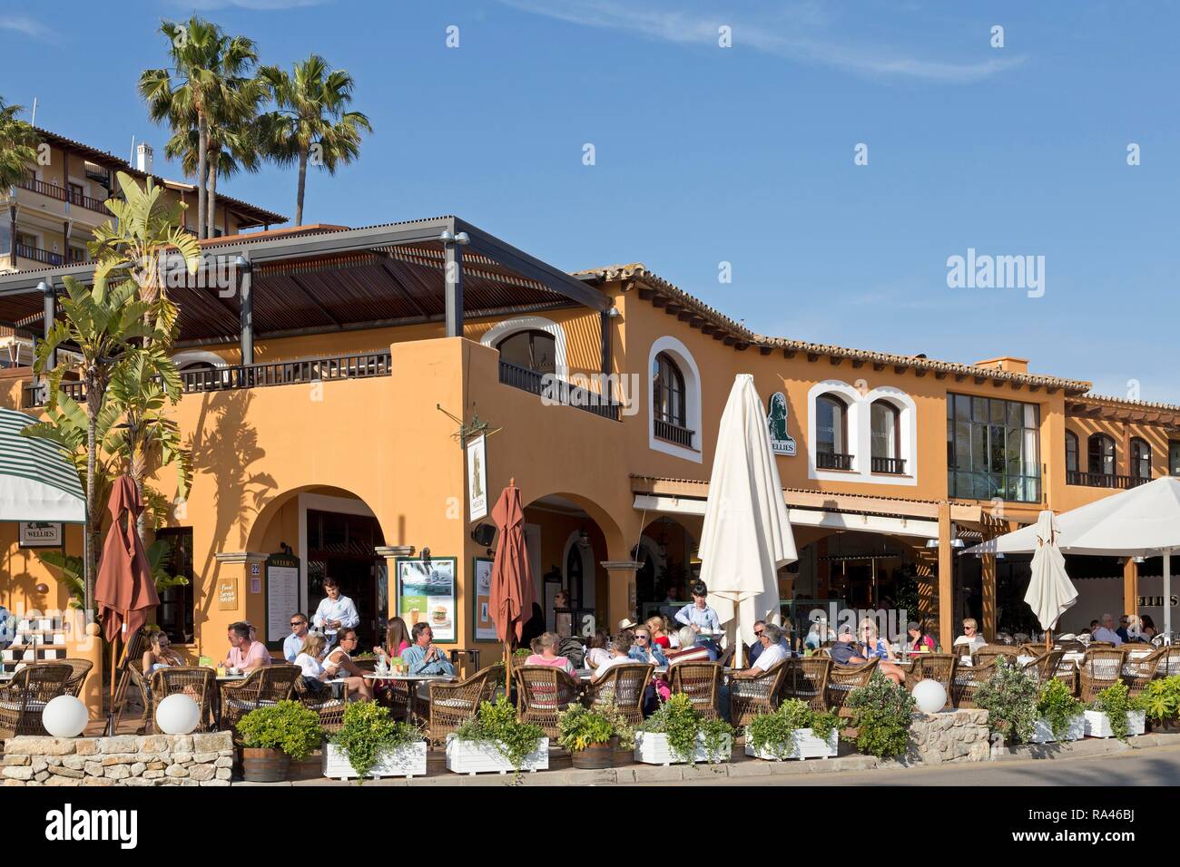 Restaurant at Marina, Portals Nous, Majorca, Spain Stock Photo