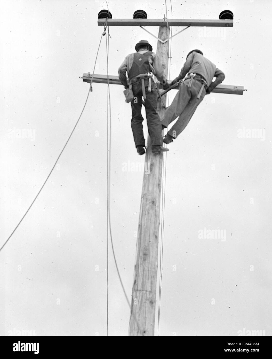 Light poles and wiring for electric lighting are being installed at