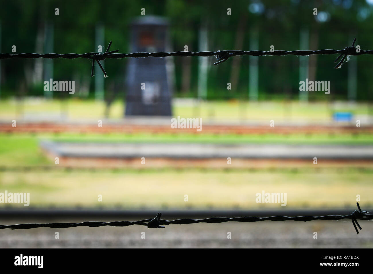 Barbed wire from the fence of the Nazi German concentration camp in Stutthof (Sztutowo), Pomerania, Poland. Stock Photo