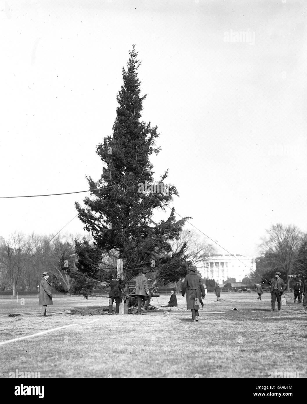 Early 1900s christmas photo hires stock photography and images Alamy