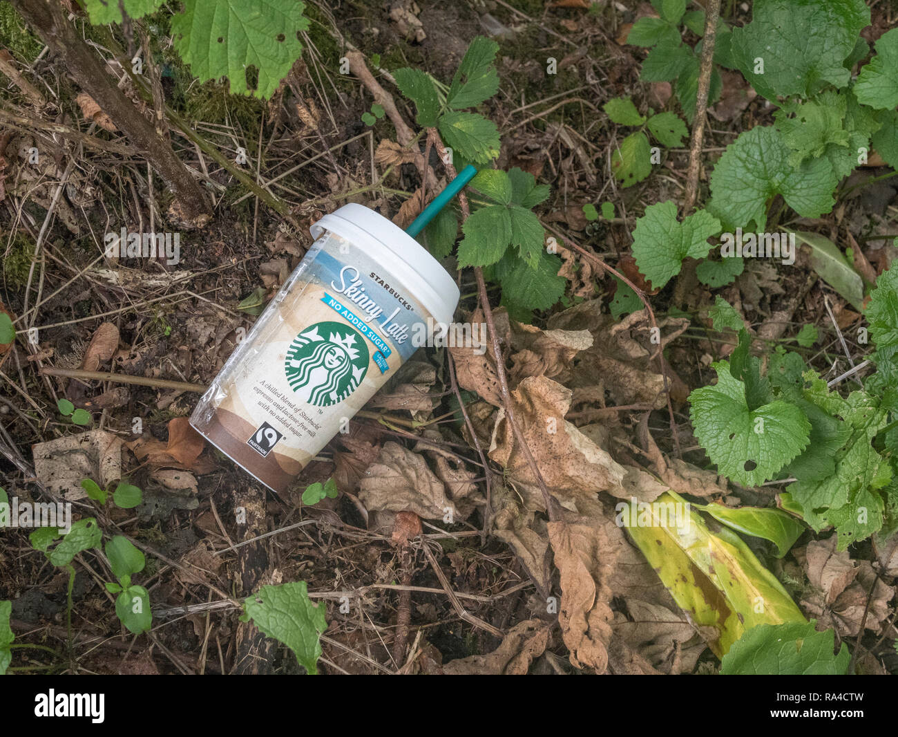 Discarded worn Starbucks plastic takeaway coffee cup seen in Cornish roadside hedgerow. War on plastic, plastic pollution, polluting the environment. Stock Photo