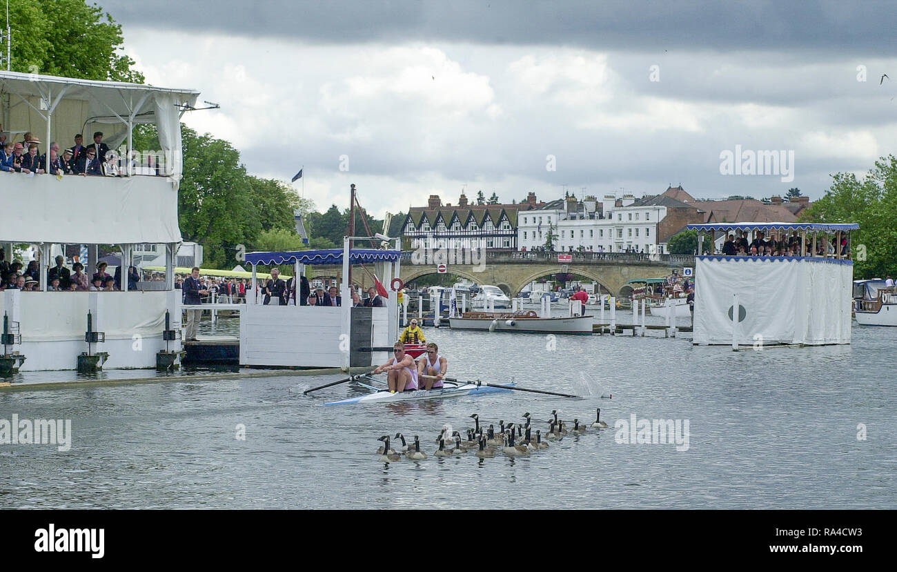 Royal canadian henley regatta hi-res stock photography and images - Alamy