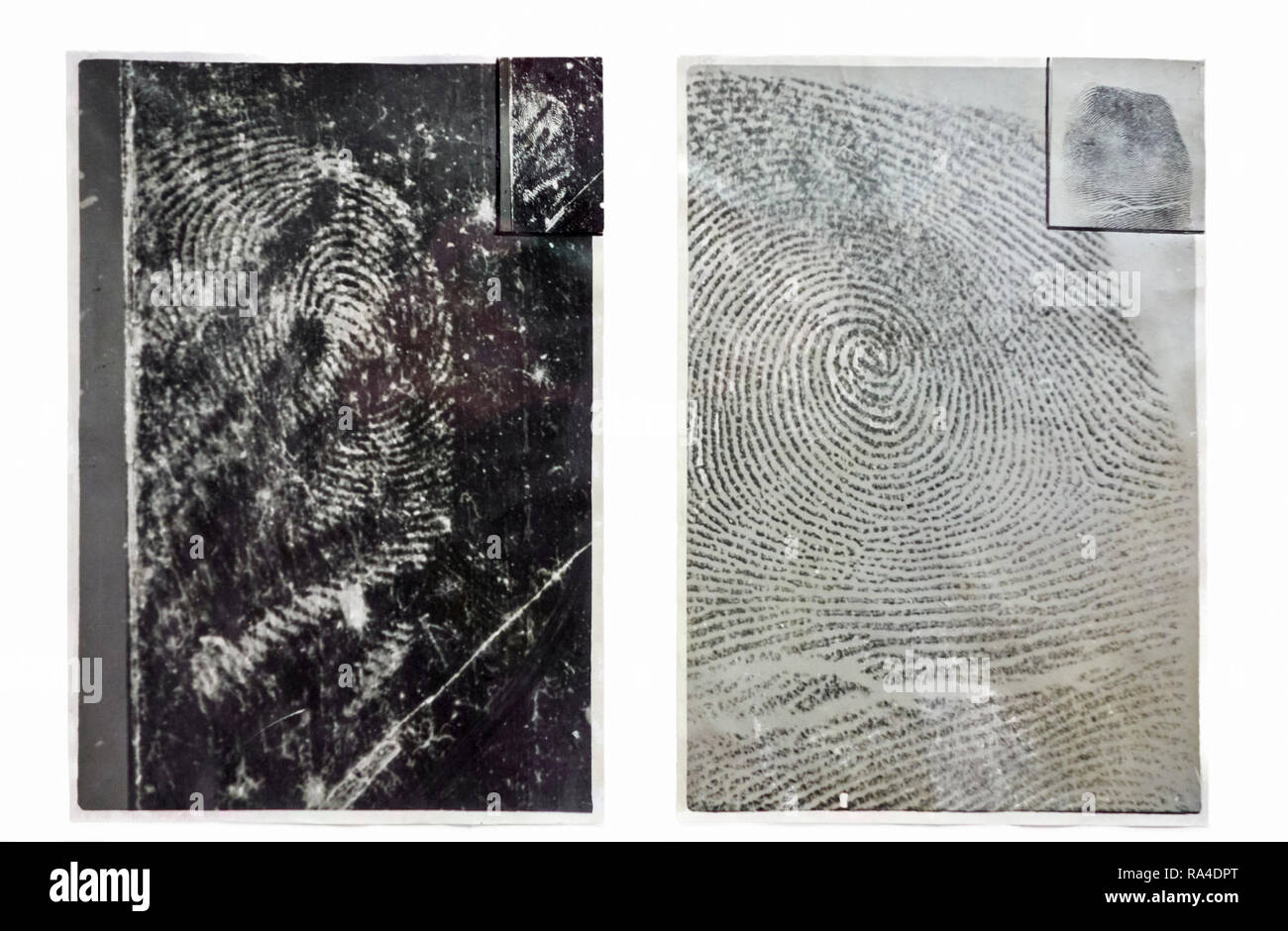 Crime scene fingerprints Cut Out Stock Images & Pictures - Alamy